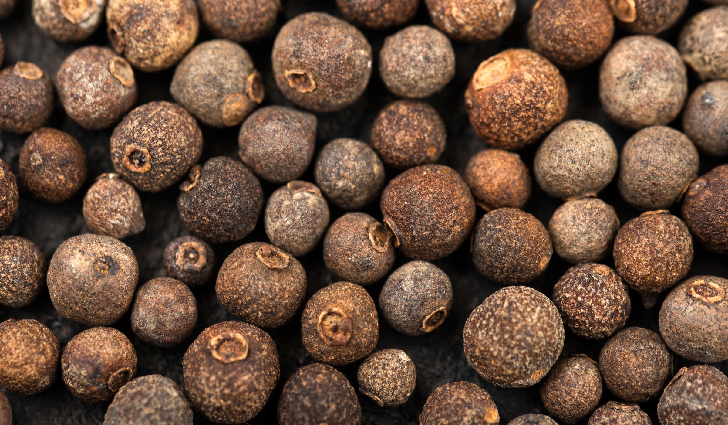 Graines de bois d'inde