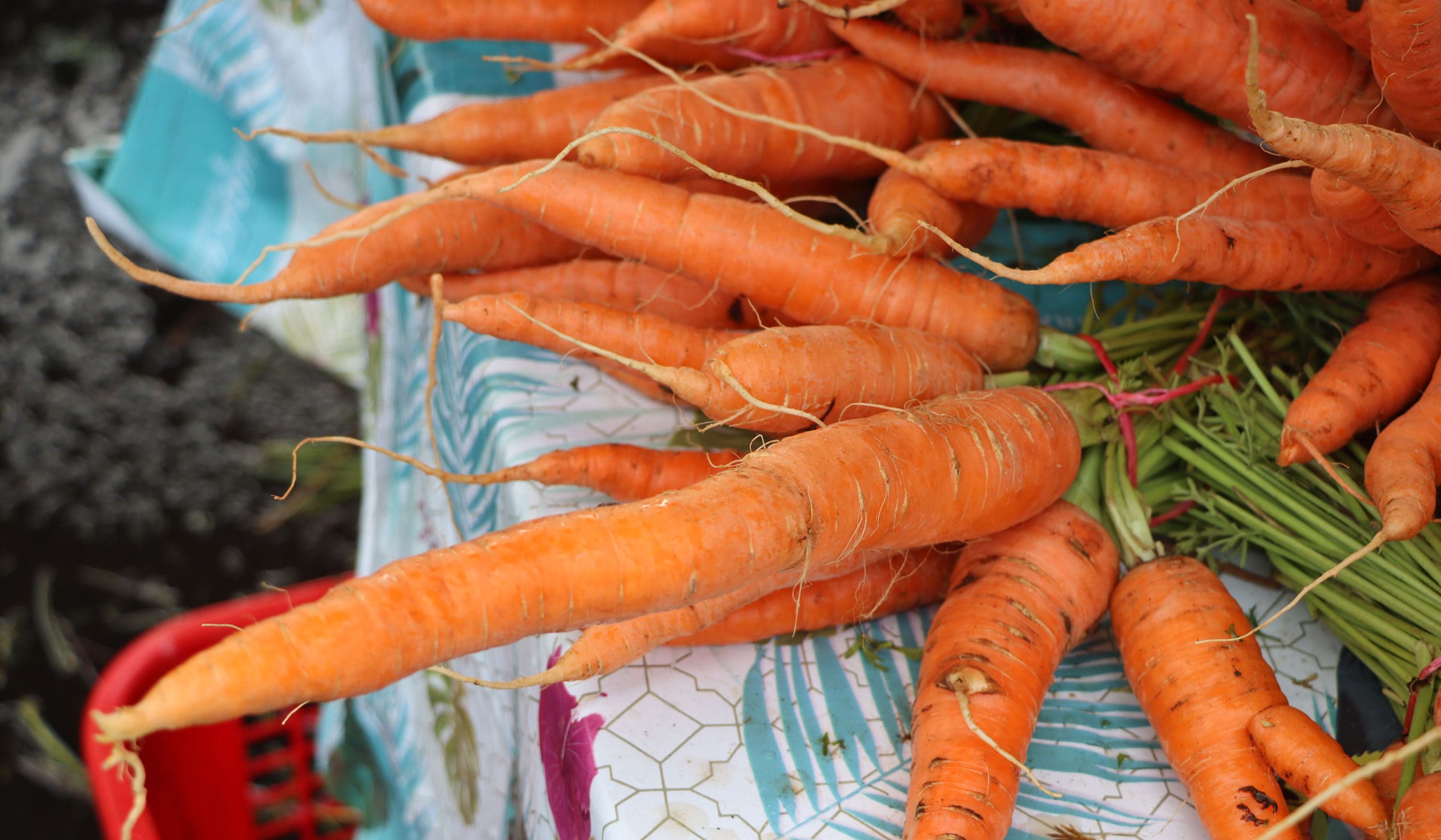 Carrots for sale at Fort-de-France market