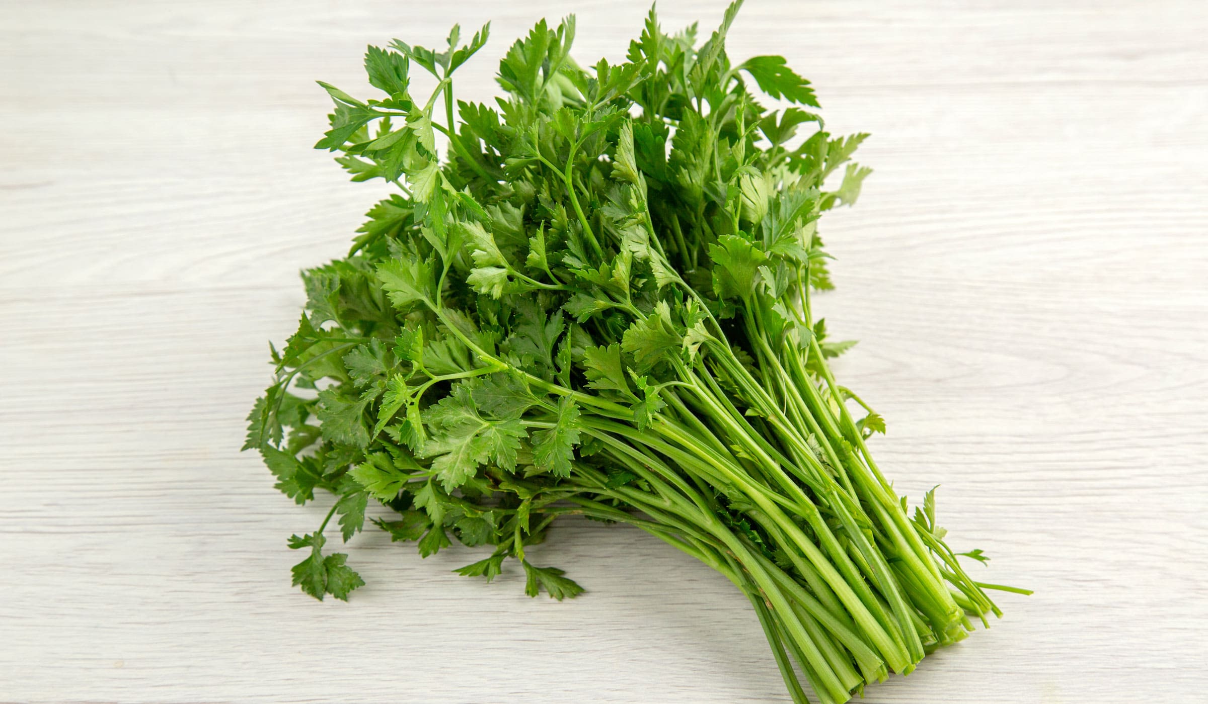 Céleri