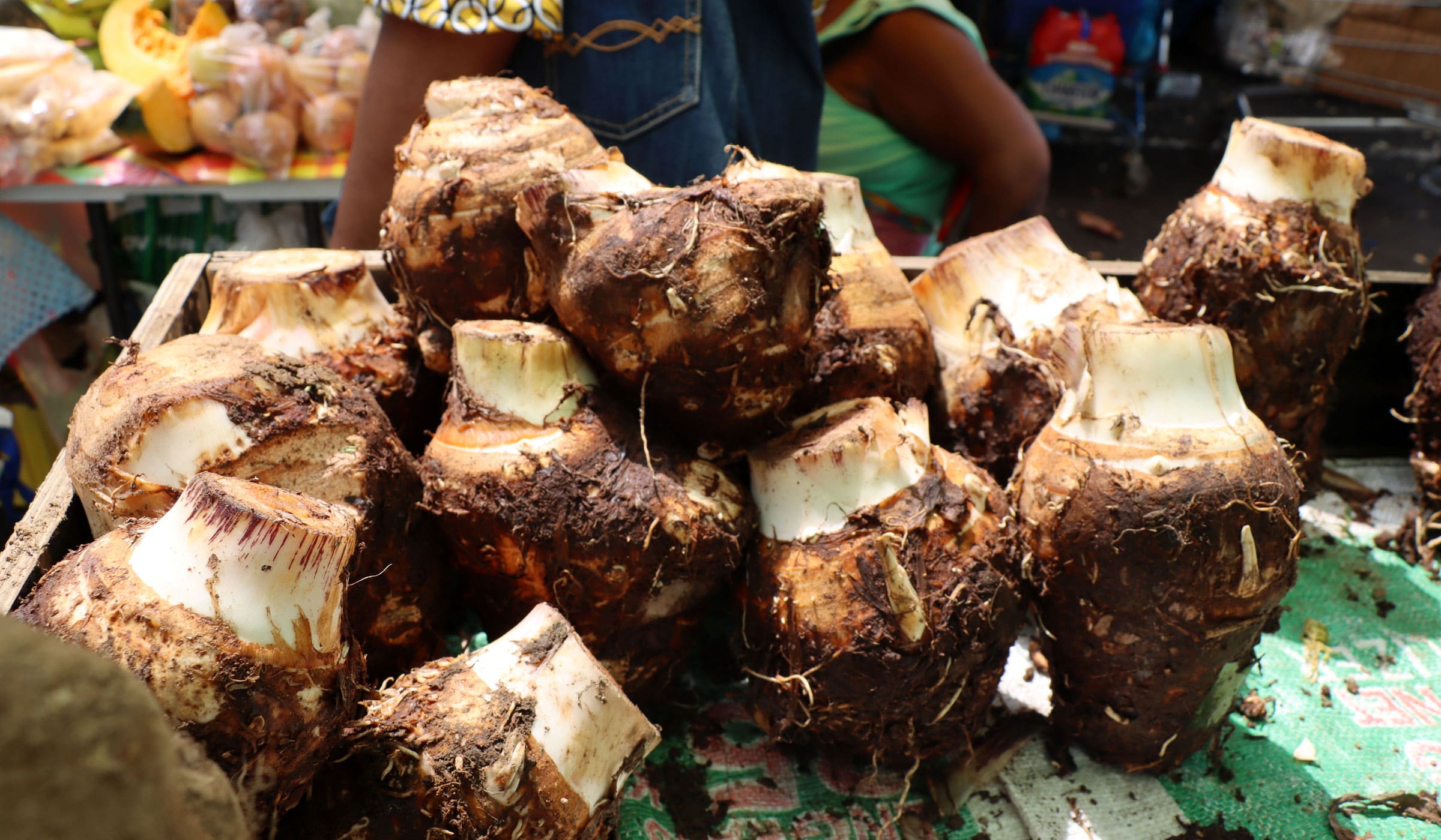Choux de chine en vente au marché de Fort-de-France