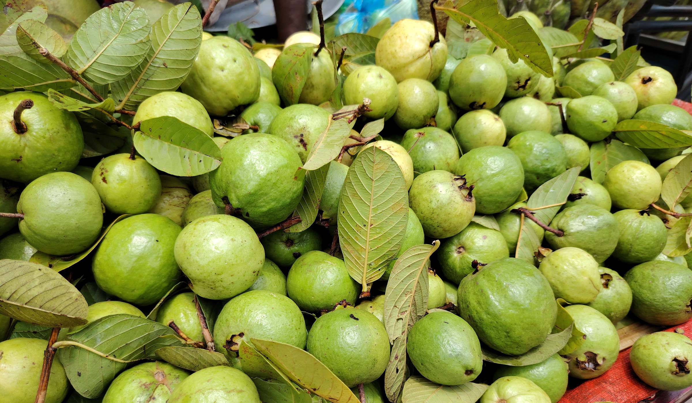 Guavas on a table