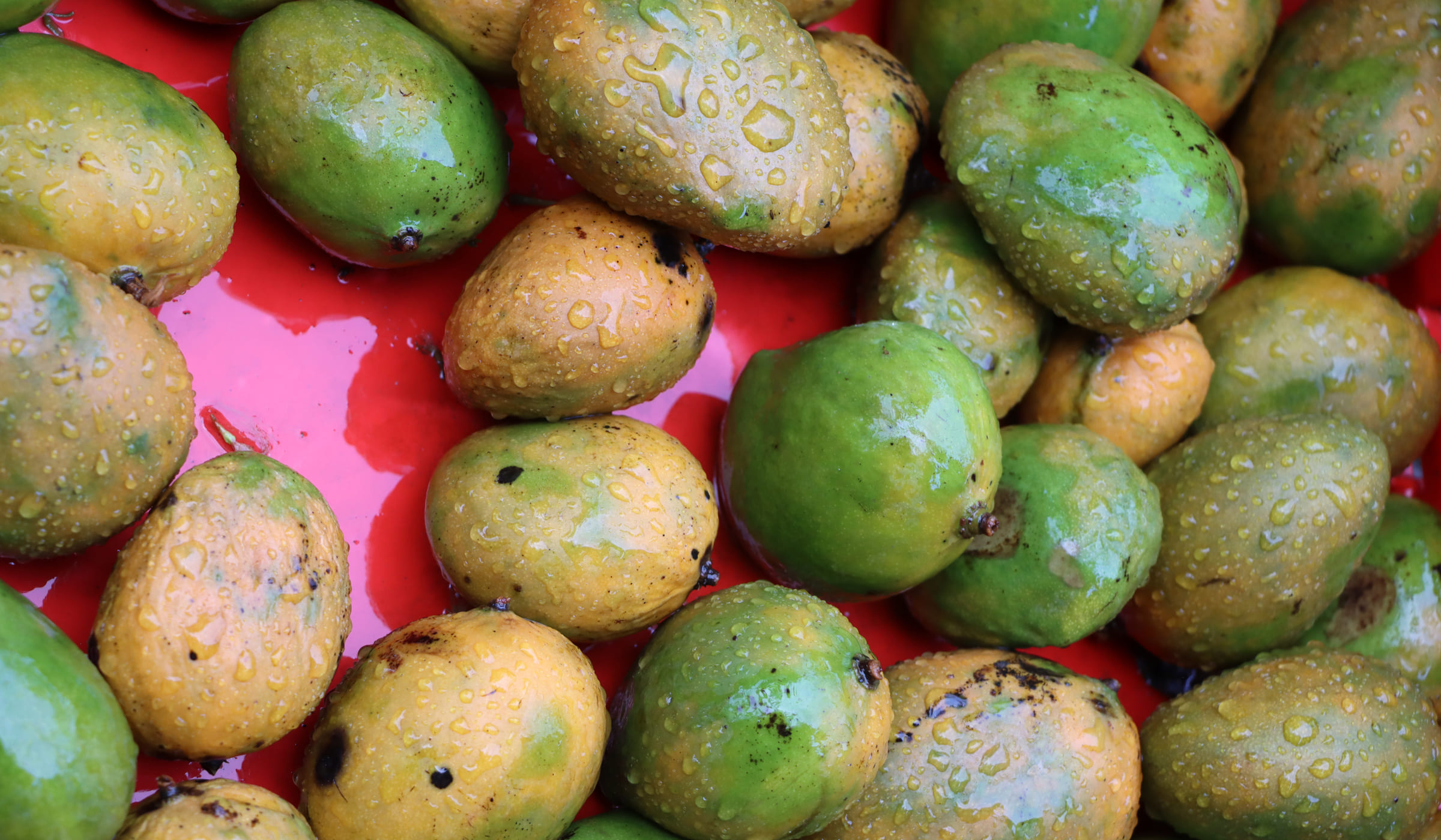 Mangoes for sale at Fort-de-France market