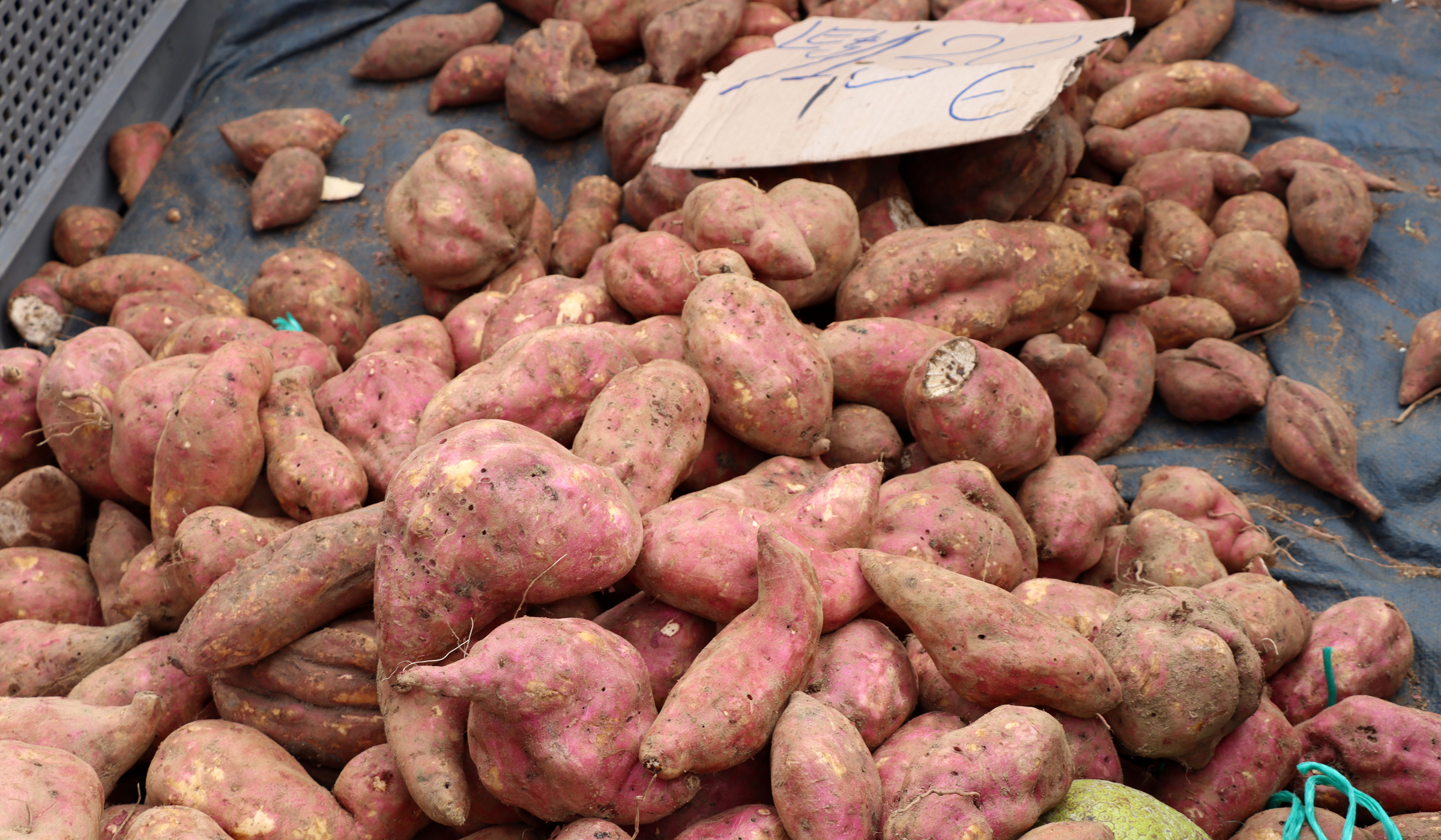 Patates douces en vente au marché de Fort-de-France