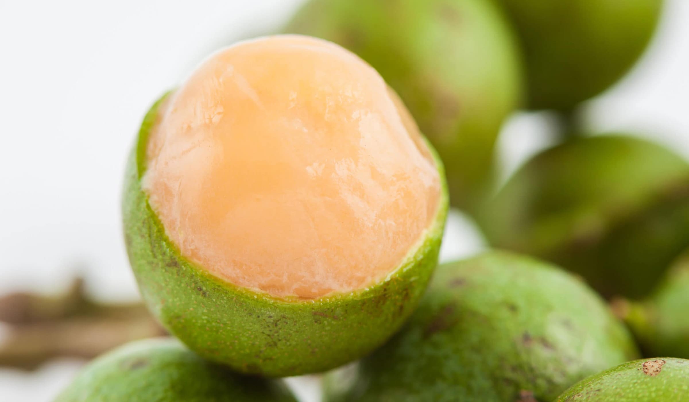 Closeup view on a quenepa