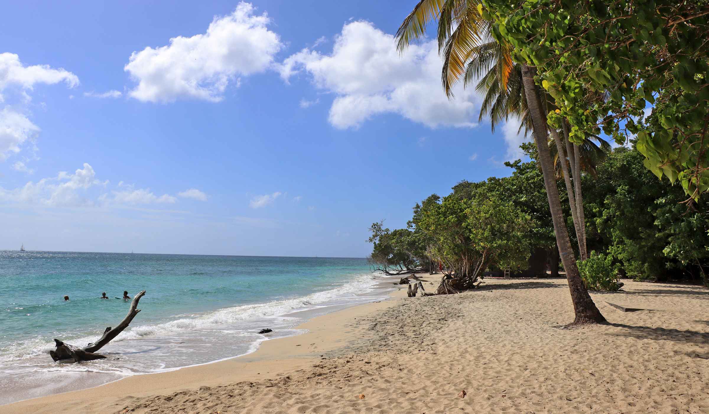 Anse Désert ou Fond Larion