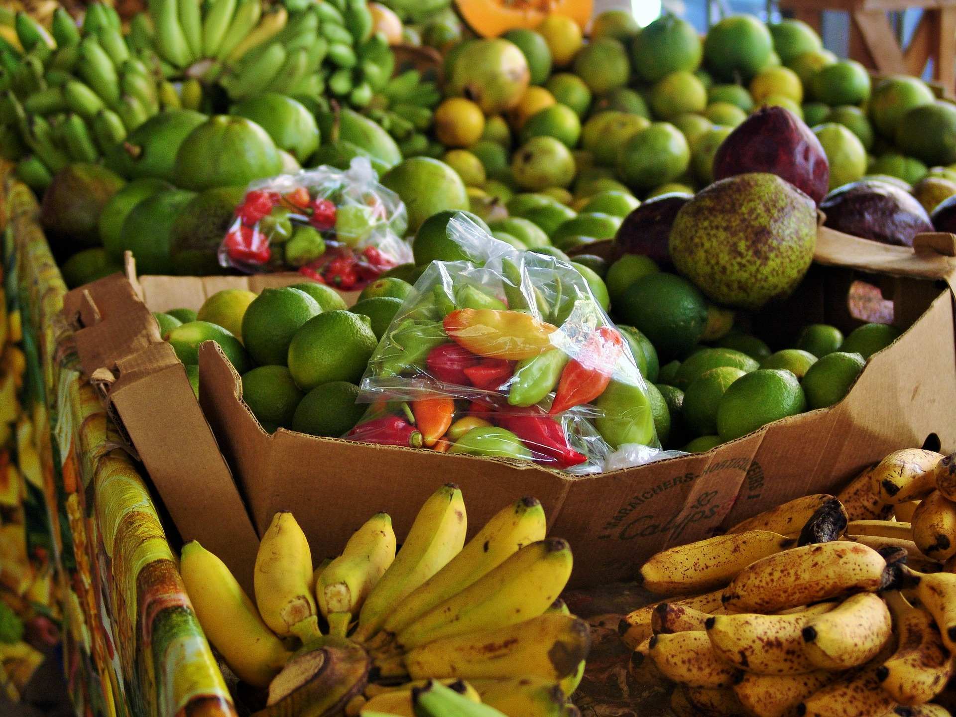 Tropical fruits, papaya, mango, passion fruits