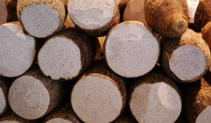 Choux de chine coupé