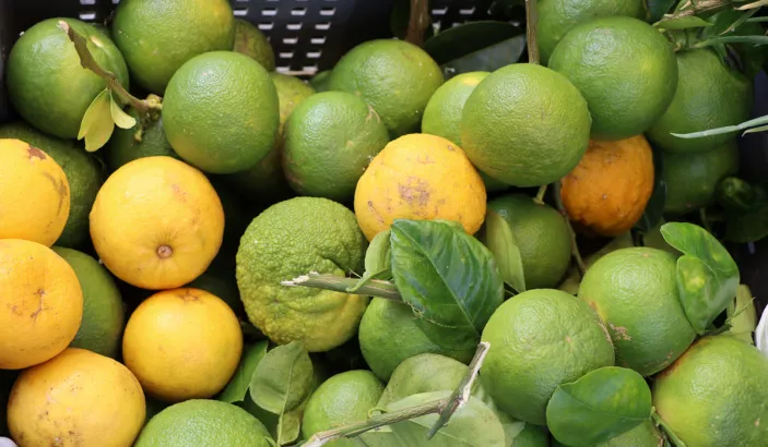 Sweet oranges for sale at the market in Fort-de-France