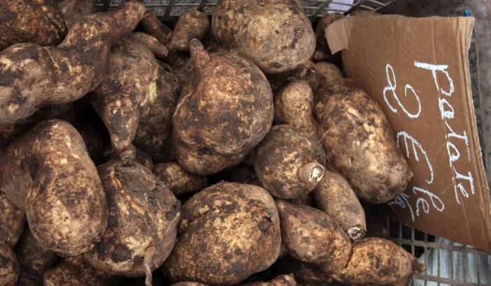 Patates douces en vente au marché de Fort-de-France
