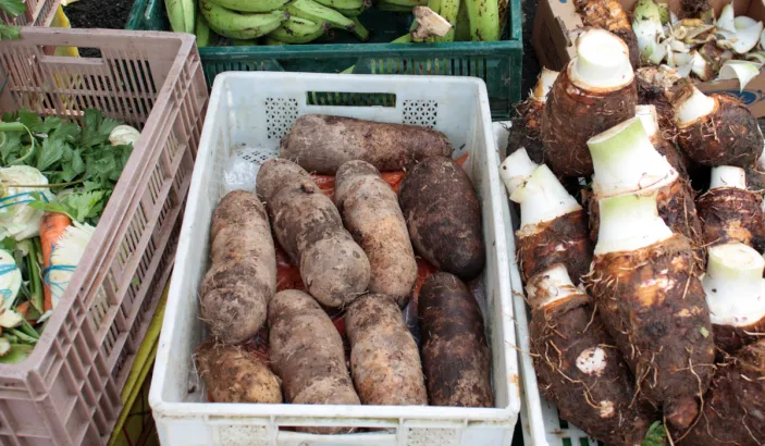 Ignames et chou de chine