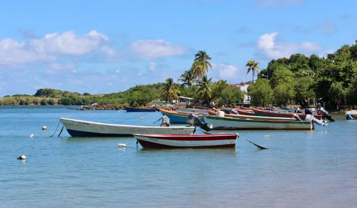 Bateaux de pêche à l'Anse de Tartane