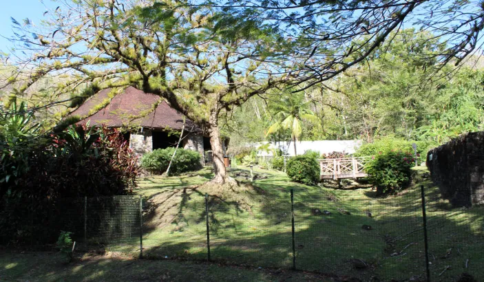 Musée de la Pagerie