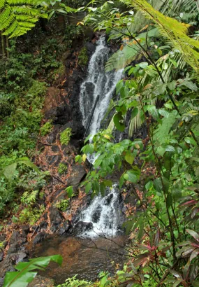 Cascade du Saut Argis