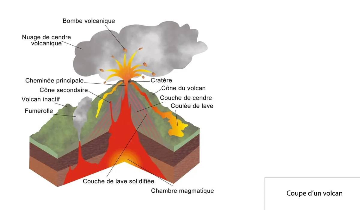 Coupe d'un volcan