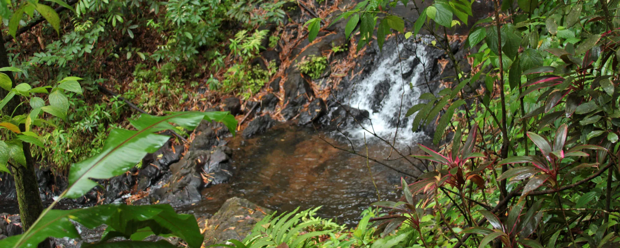 Cascade du Saut Argis
