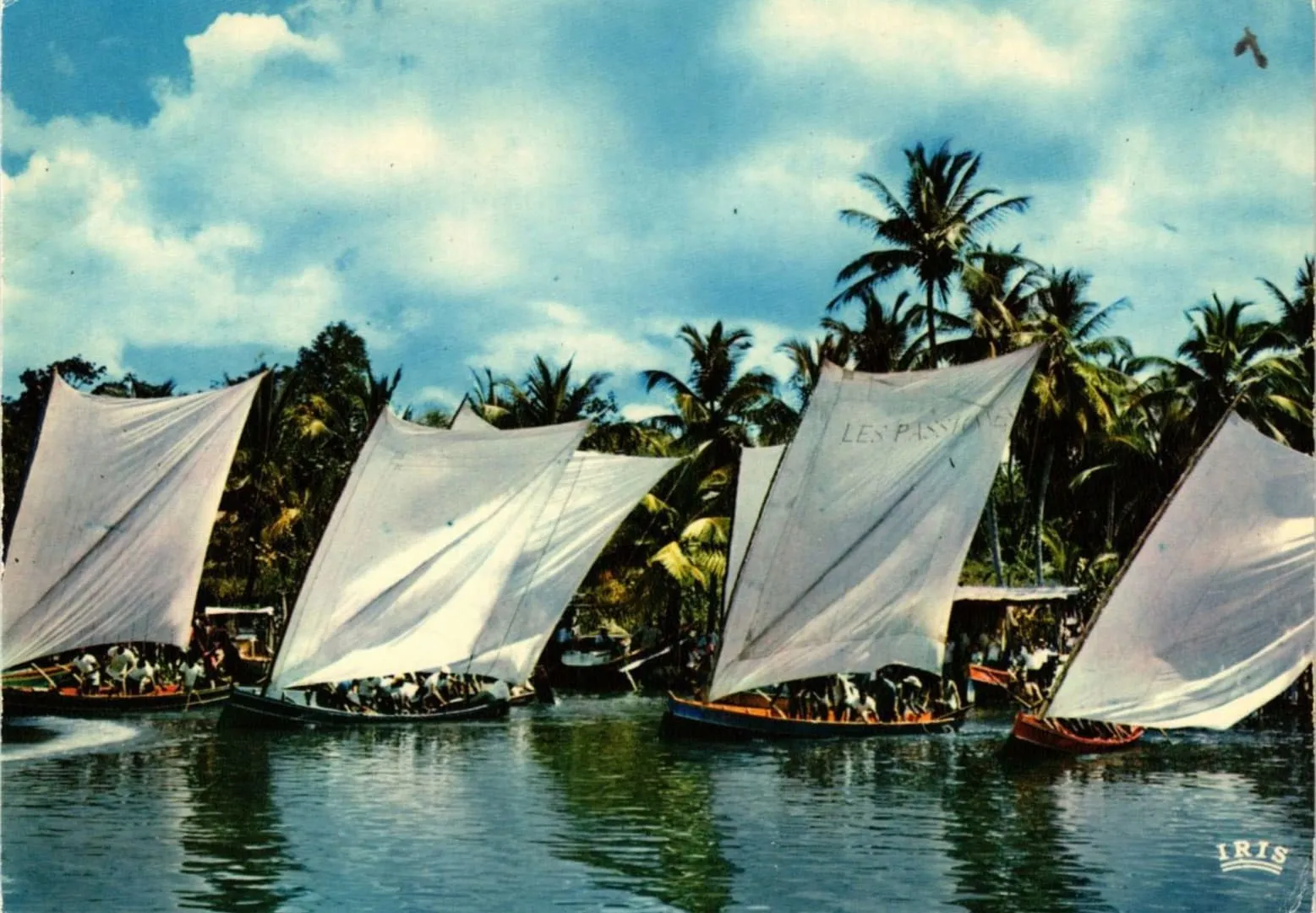 Photo ancienne d'une course de yoles rondes