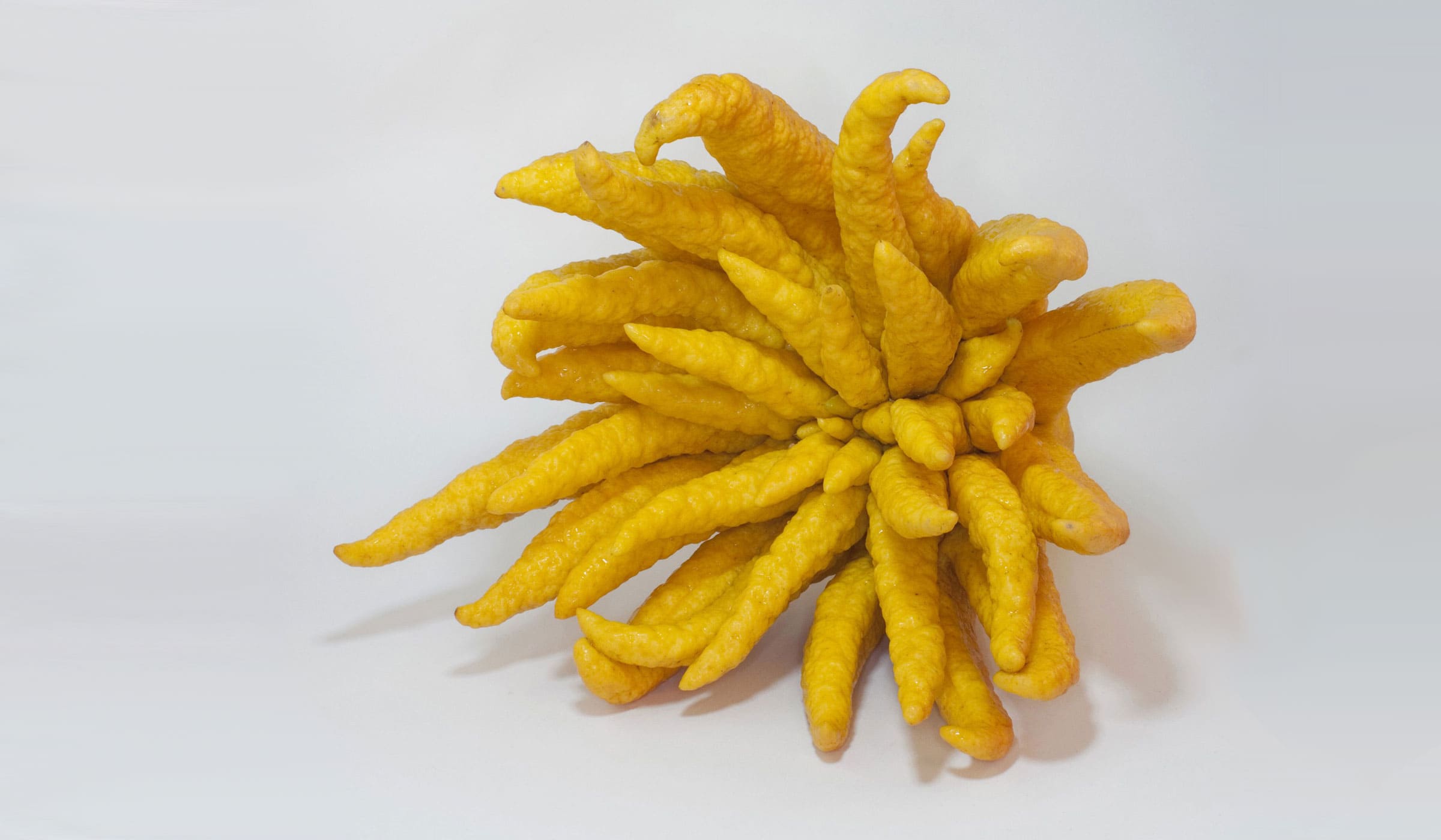 Cédrat
