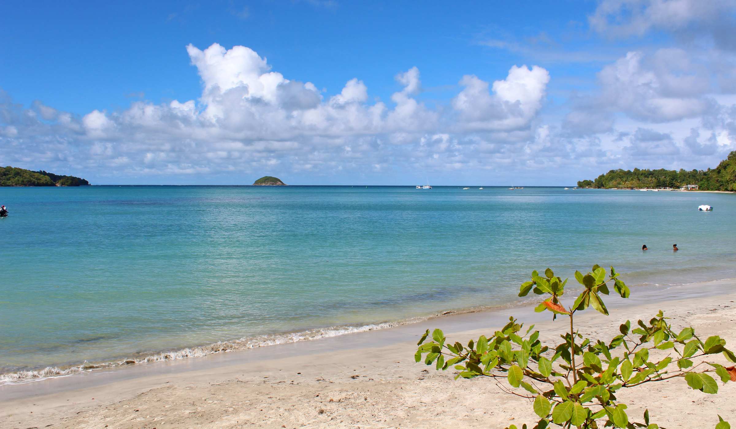 Anse des Raisiniers