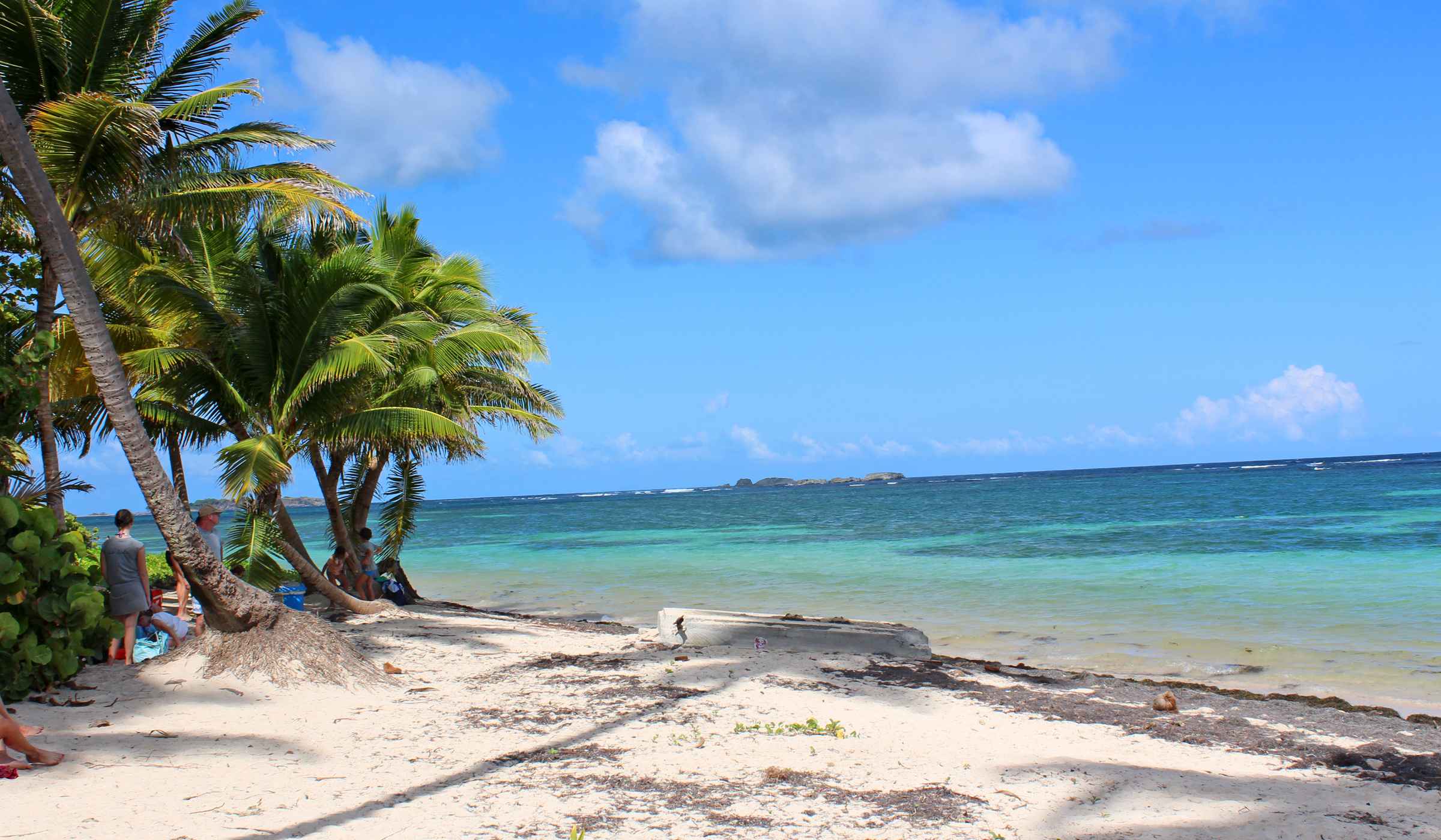 Anse Michel