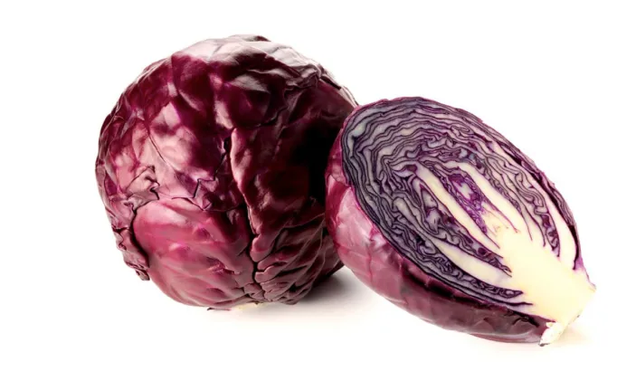 Chou pommé violet