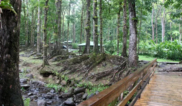 Forêt du Cœur Bouliki