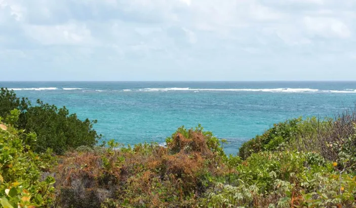 Cap Macré