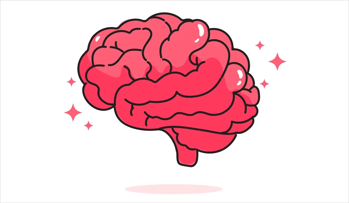 Illustration d'un cerveau en bonne santé